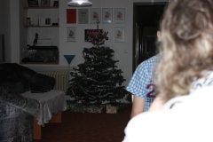 Vánoce 2015 026