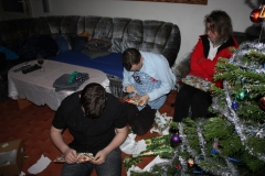 Vánoce 2015 059