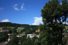 Vír 2016 124