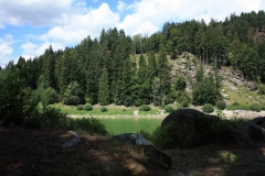 Vír 2016 168