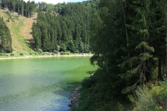 Vír 2016 175