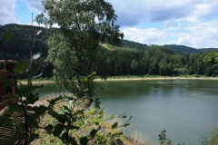 Vír 2016 192