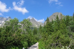 Snímek 081
