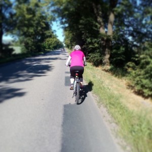 Pavča