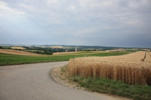IMG_0017