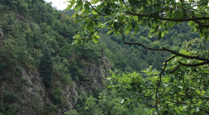 Templštýn 103