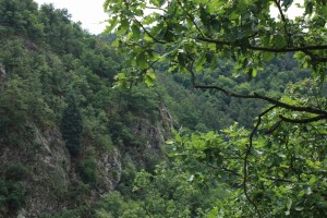 Templštýn 103