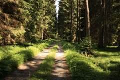Plešné jezero 069