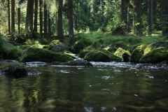 Šumava 2015 137