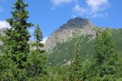 Snímek 082